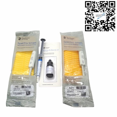 Resina Spectra Smart Promo Kit 2 jeringas Dentsply Sirona