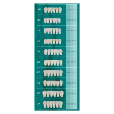 Tablilla Dientes Biotone Anteriores Inferiores 6pz Dentsply