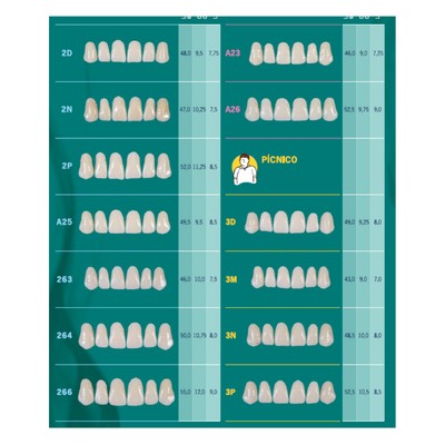 Tablilla Dientes Biotone Anteriores Superiores 6pz Dentsply