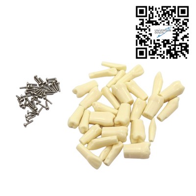 Dientes Repuesto Adulto N DT