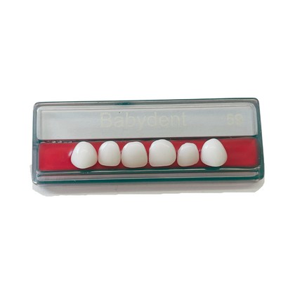 Babydent Dientes De Acrilico 1x6